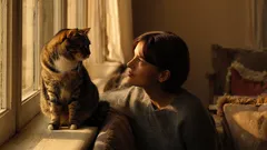 Koho vlastně kočky opravdu milují? Vědecká analýza a praktické rady