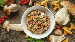 Tři neodolatelné houbové recepty pro každého domácího kuchaře